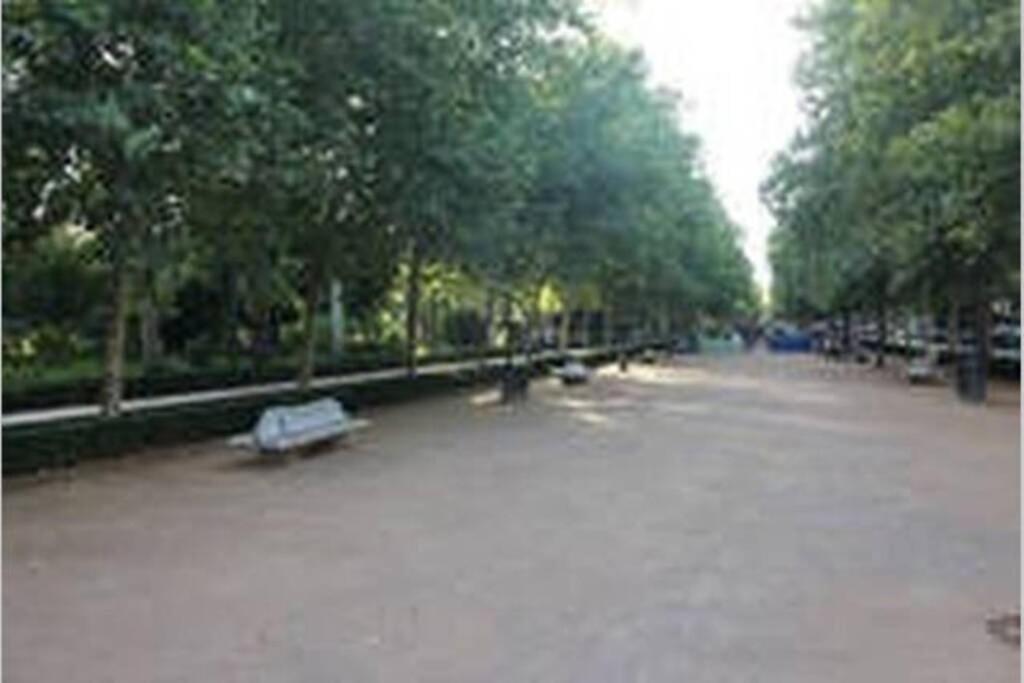 Bonito Apartamento Junto A Paseo De La Bomba Lejlighed Granada Eksteriør billede